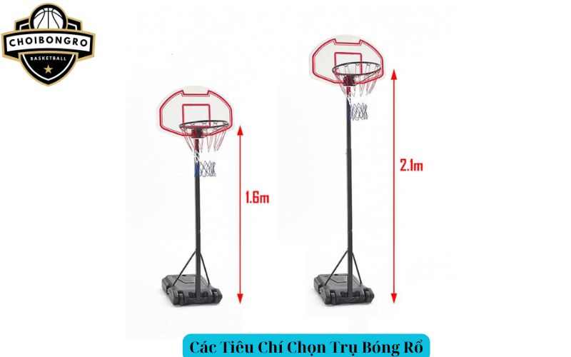 Các Tiêu Chí Chọn Trụ Bóng Rổ