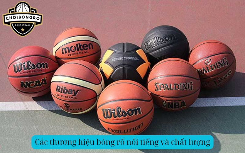 Các thương hiệu bóng rổ nổi tiếng và chất lượng