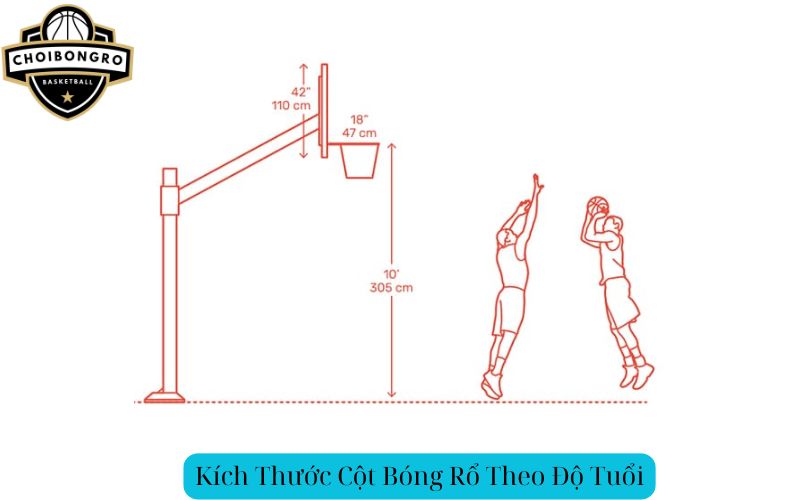 Kích Thước Cột Bóng Rổ Theo Độ Tuổi