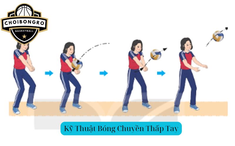 Kỹ Thuật Bóng Chuyền Thấp Tay