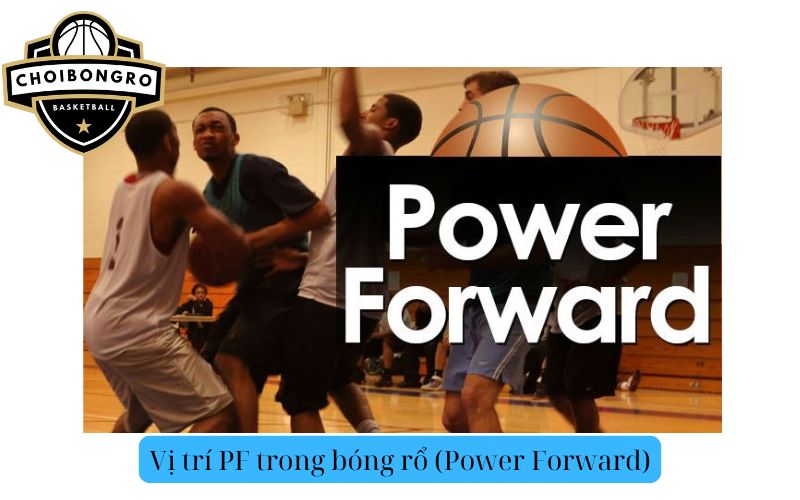 Vị trí PF trong bóng rổ (Power Forward)