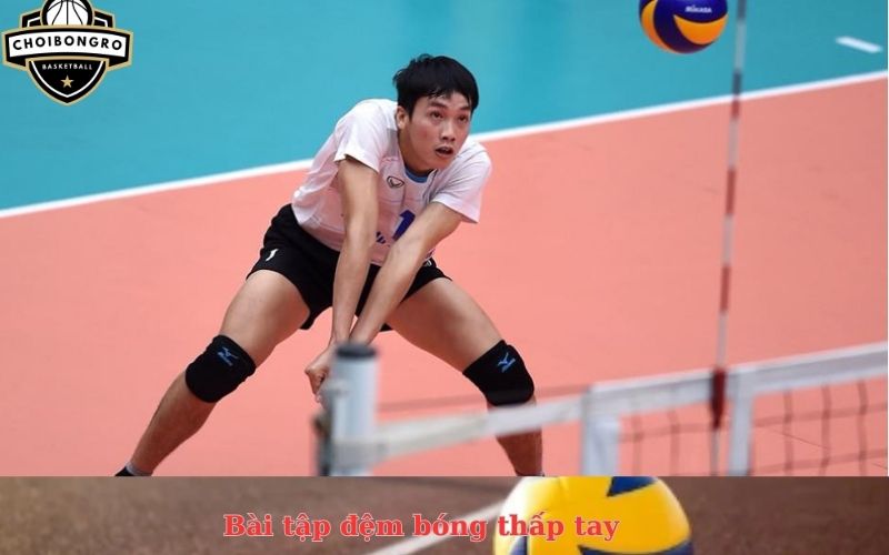 Bài tập đệm bóng thấp tay