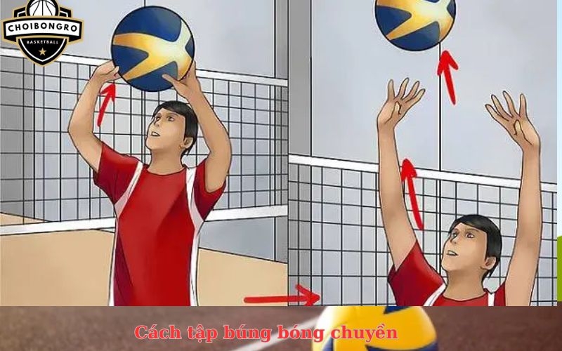 Cách tập búng bóng chuyền
