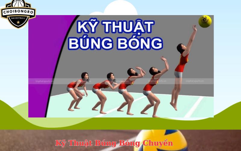 Kỹ Thuật Búng Bóng Chuyền