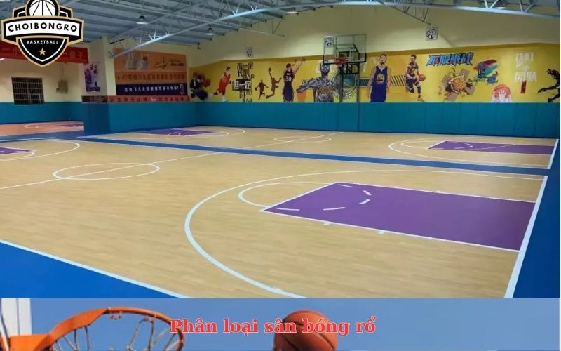 Phân loại sân bóng rổ