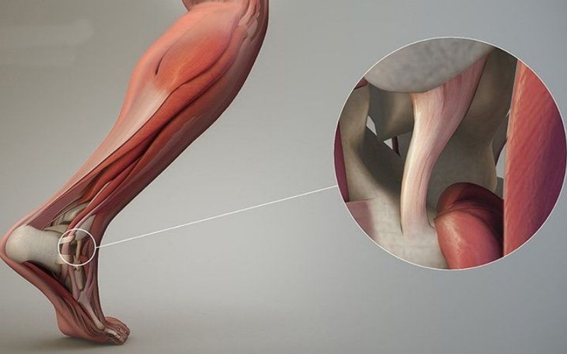 Quy trình điều trị dây chằng bằng tế bào gốc tự thân